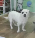 Billy