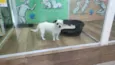Billy