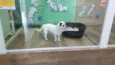Billy