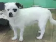 Billy