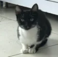 Mia