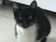 Mia