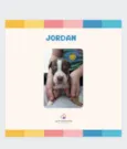 Jordan bb50dias lindo porte Pequeno 