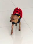 Anita
