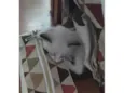 não tem ainda