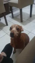 Mel