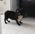 Barttho