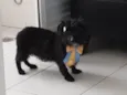 Barttho
