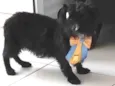 Barttho