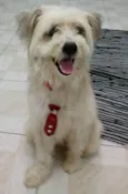 Bob