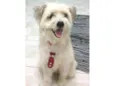 Bob