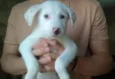 Théo