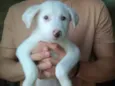 Théo