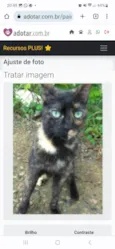 ISABELE