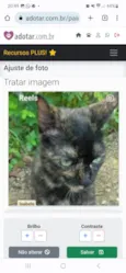 ISABELE