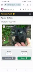 ISABELE