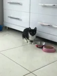 Mia