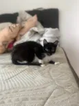 Mia