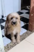 Tita