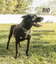 Rio