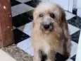 Tita