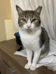 Catharina 
