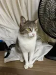 Catharina 