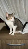 Catharina