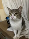 Catharina 