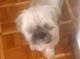 Spike