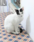 SAMANTHA