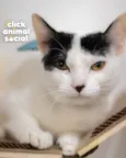 SAMANTHA