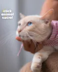OLIVER