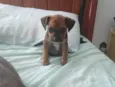 Lucy
