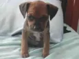 Lucy