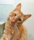 Ben