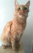 Ben
