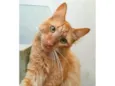 Ben