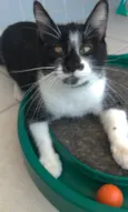Ayka
