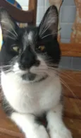 Ayka