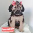 BEBÊ MENINA