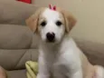 Cloe