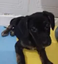 Esmeralda