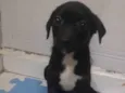 Rubi