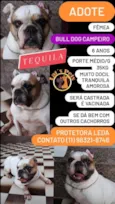 Tequila