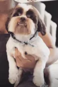 Ted