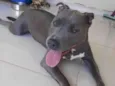 Atena