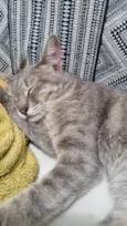 Zoe
