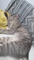 Zoe