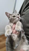Zoe
